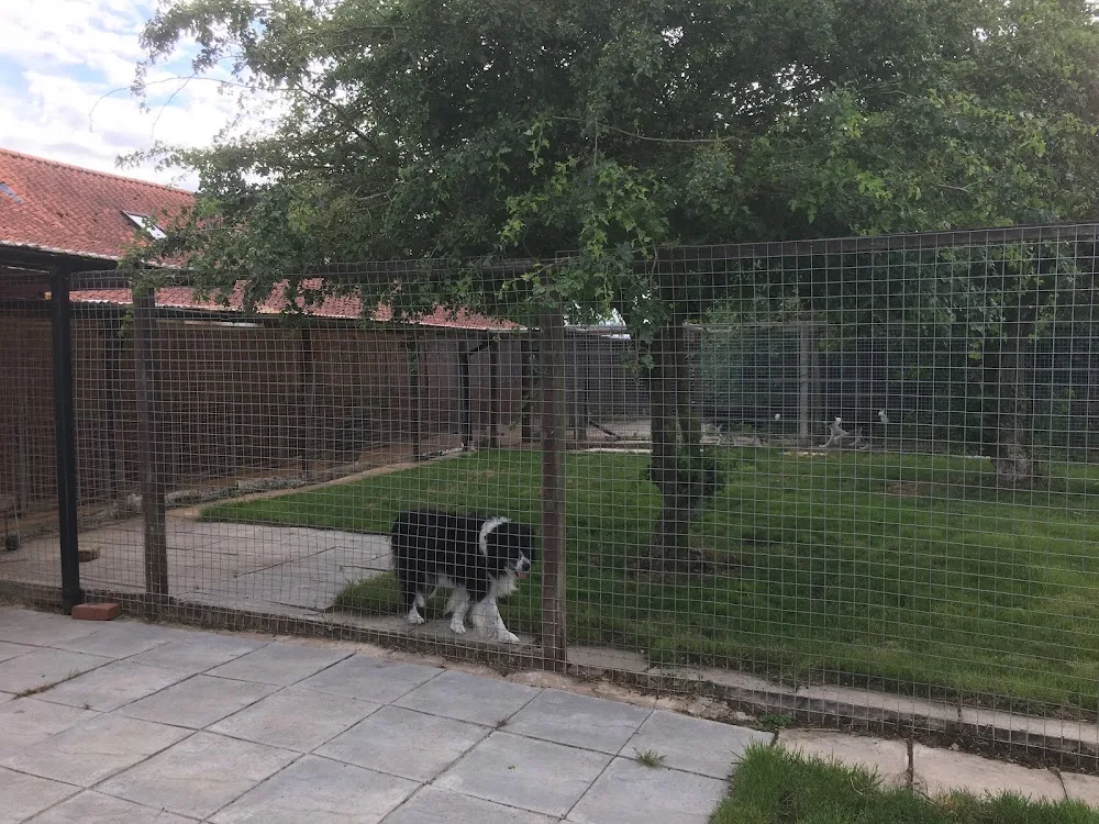 Waterlow Farm Kennels - Downham Market pet otel görseli 3