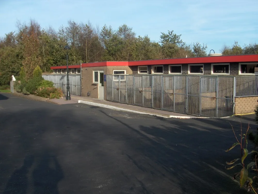 Hondenpension Drachten - Drachtstercompagnie pet otel