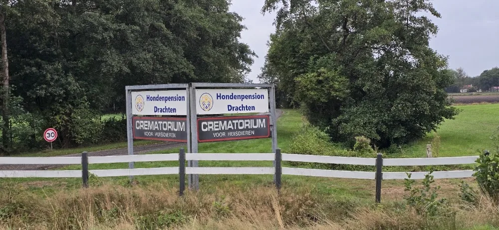 Hondenpension Drachten - Drachtstercompagnie pet otel görseli 3