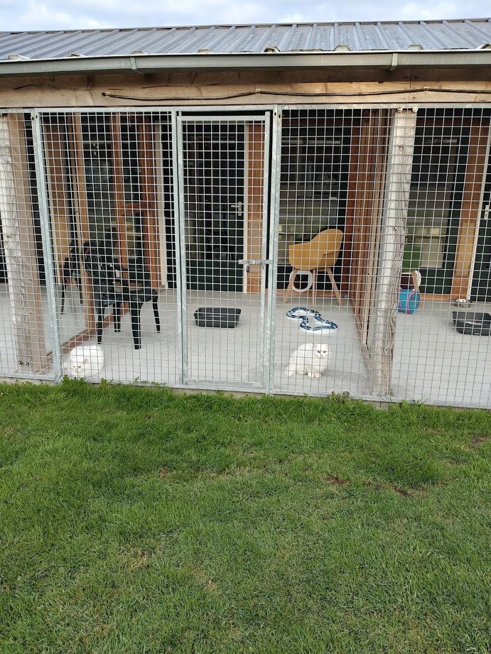 Kattenpension De Zwarte Kat - Drachtstercompagnie pet otel görseli 3