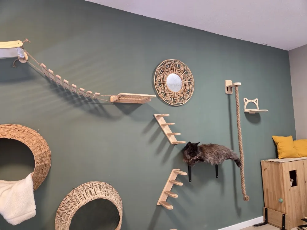 Kattenresort Katastrofe - Drachtstercompagnie pet otel