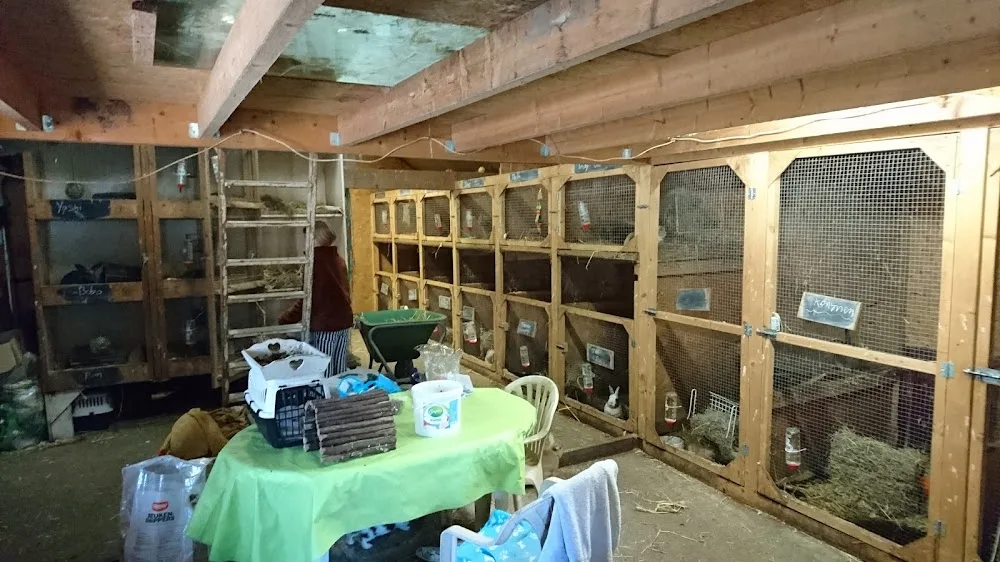 Konijnenopvang Marijke - Drachtstercompagnie pet otel görseli 3