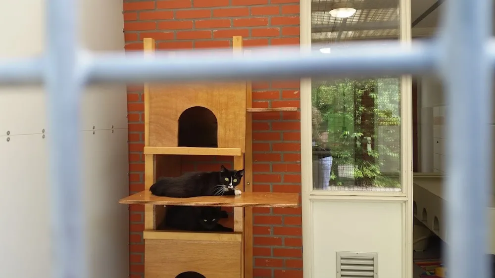 Stichting Dierenopvang de Wissel - Drachtstercompagnie pet otel görseli 3