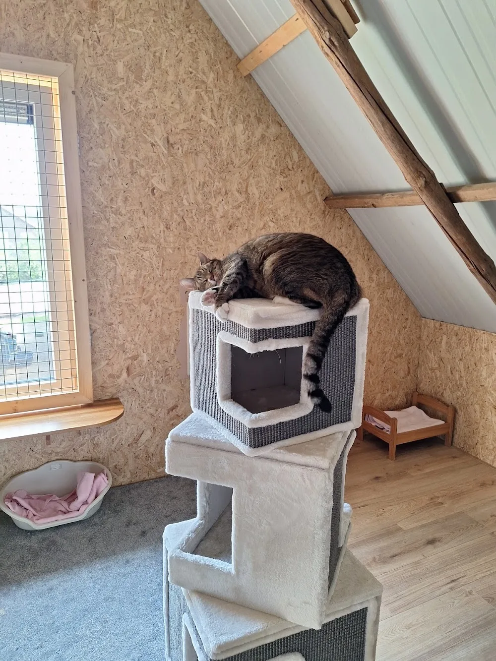 Boerderij "De Bries" - Drenthe pet otel görseli 3