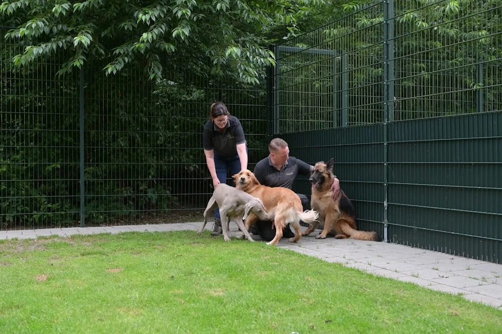Boszicht Dierenpension - Drenthe pet otel