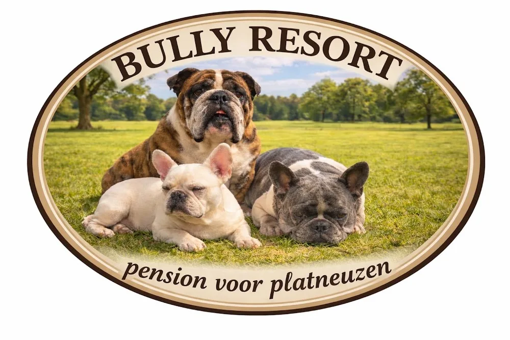 Bully Resort - Drenthe pet otel