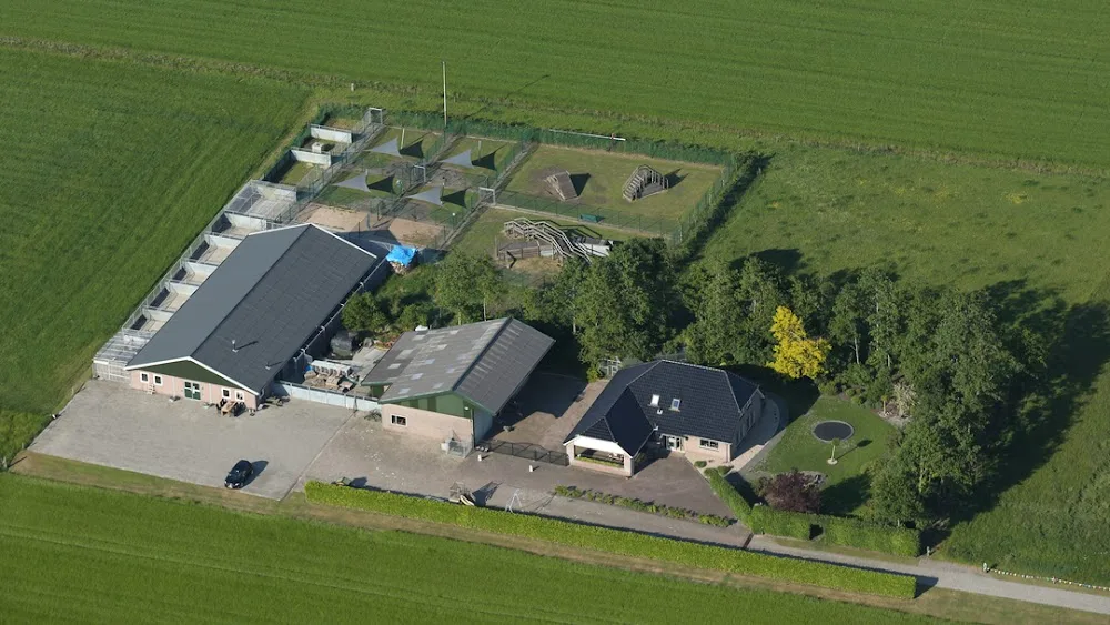 Dierenpension De Driehoek - Drenthe pet otel