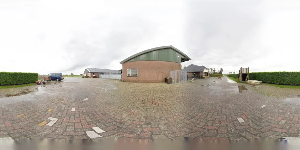 Dierenpension De Driehoek - Drenthe pet otel görseli 4