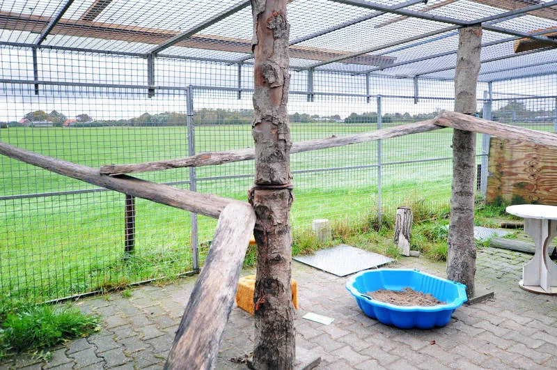 Dierenpension De Driehoek - Drenthe pet otel görseli 5