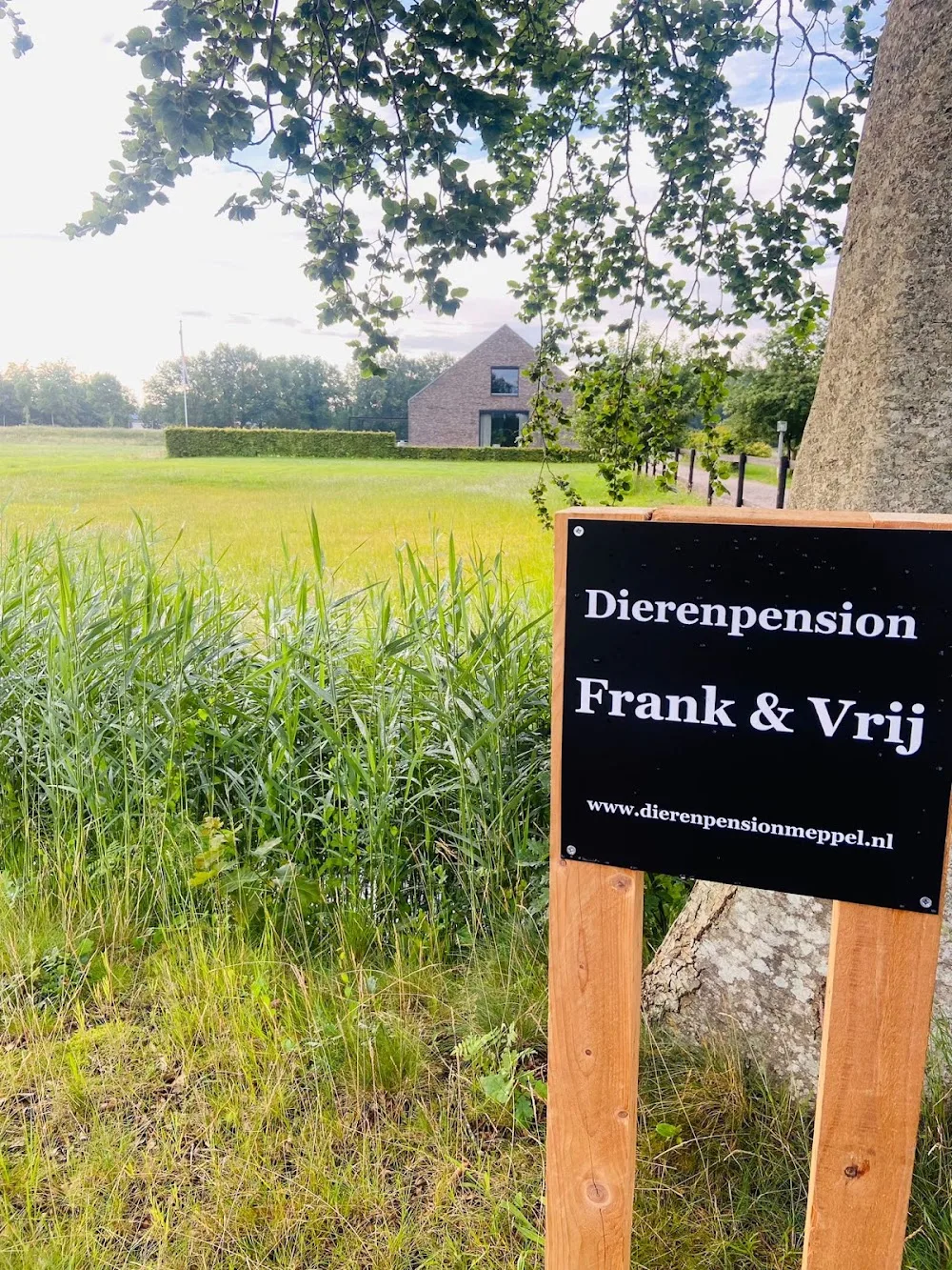Dierenpension Frank & Vrij - Drenthe pet otel görseli 2