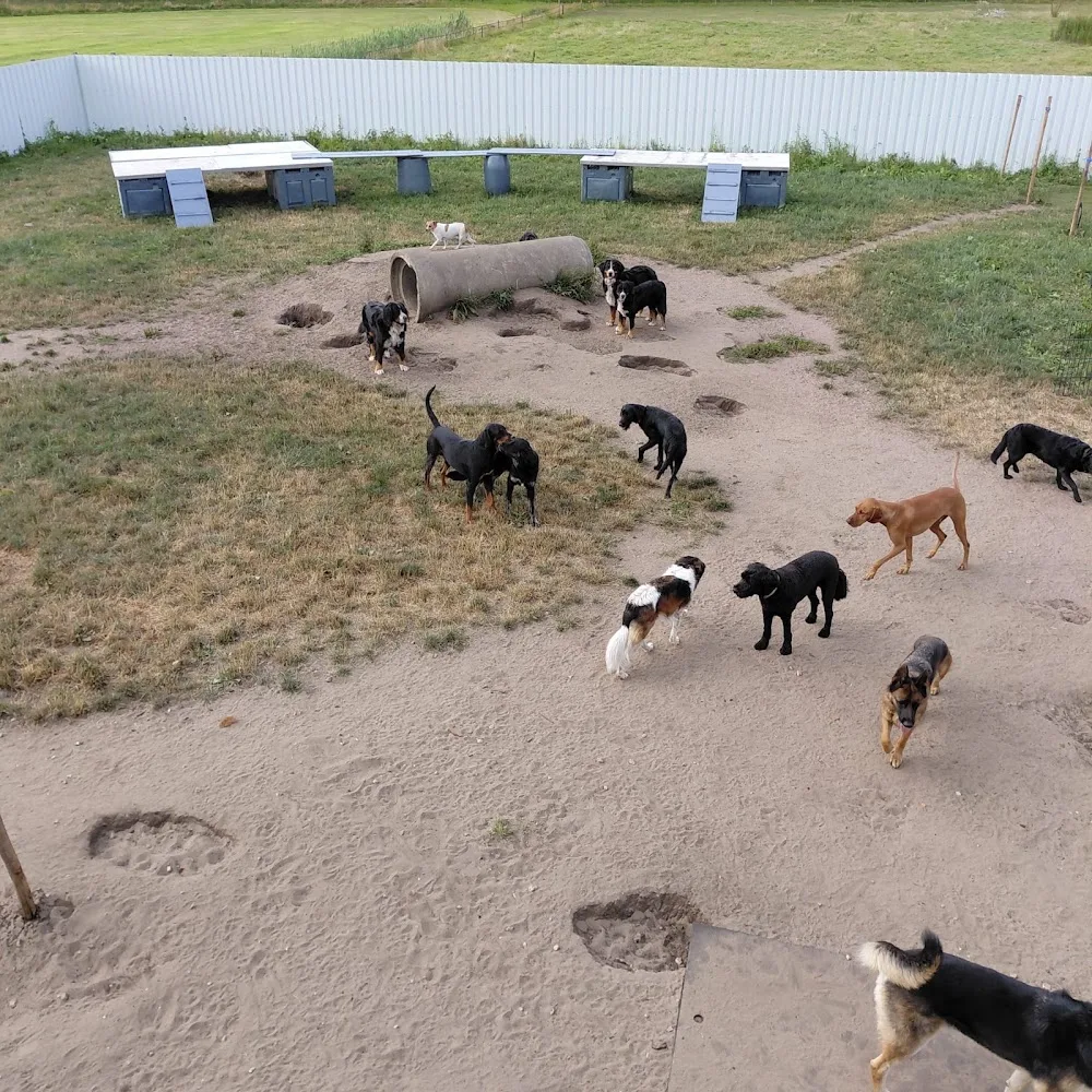 Dierenpension Frank & Vrij - Drenthe pet otel görseli 3