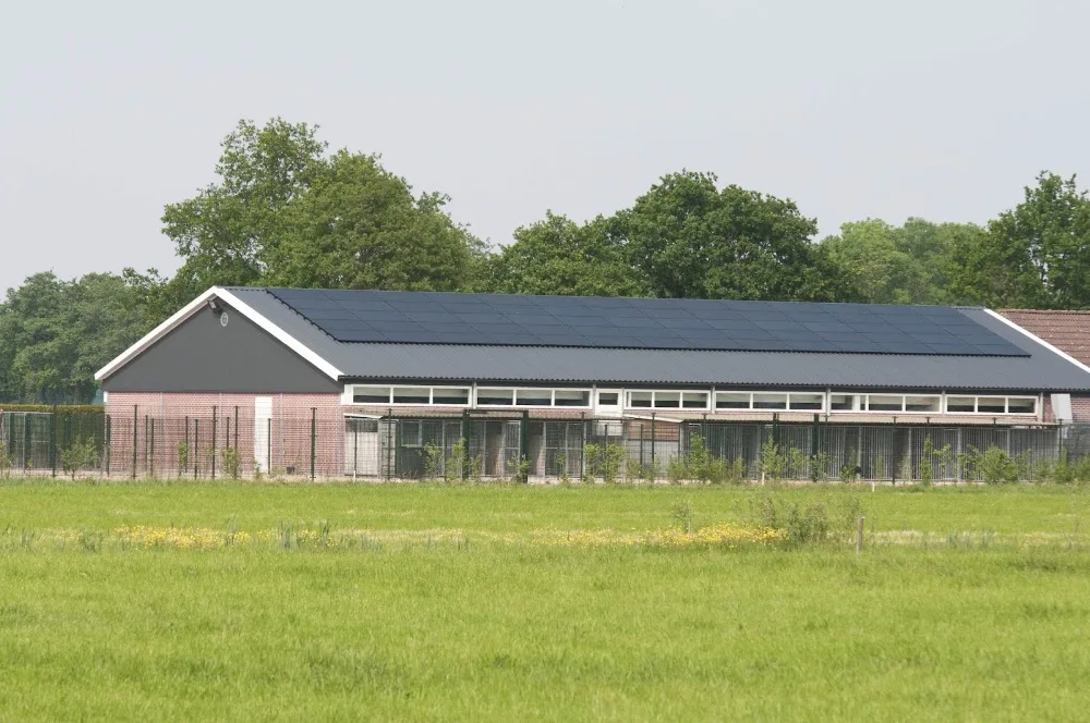 Dierenpension Happy Care - Drenthe pet otel görseli 2
