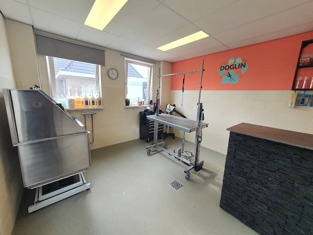 Dierenpension Happy Care - Drenthe pet otel görseli 4