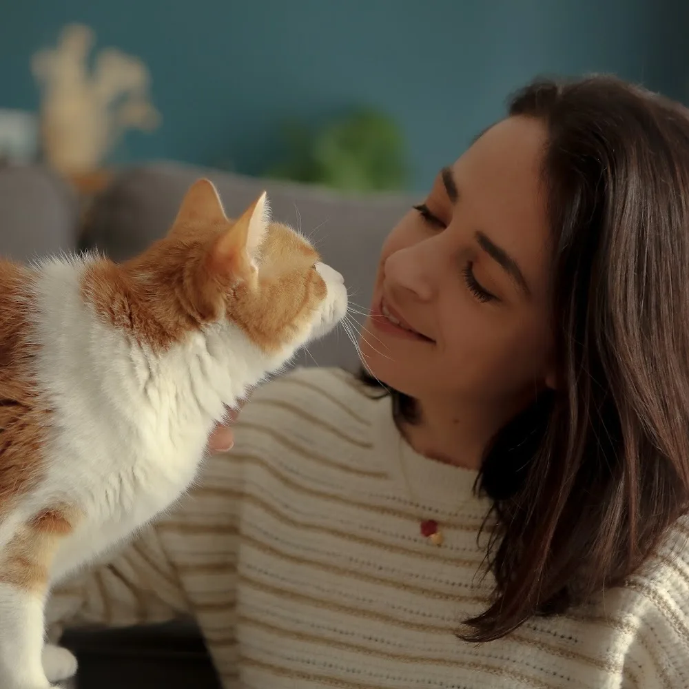 Coup d'patte, Comportementaliste félin et garde de chat (26) - Drôme pet otel