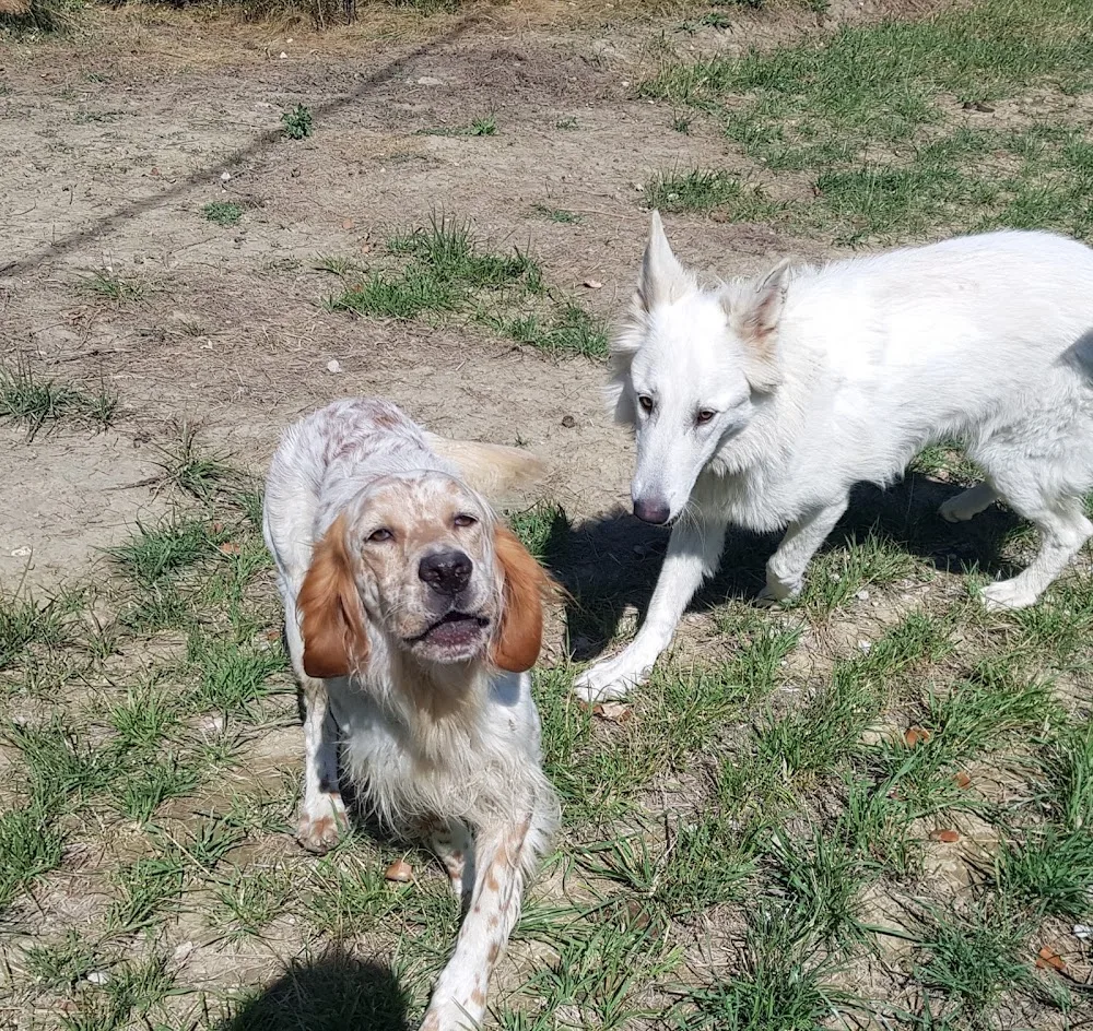 Gite canin La freydière - Drôme pet otel