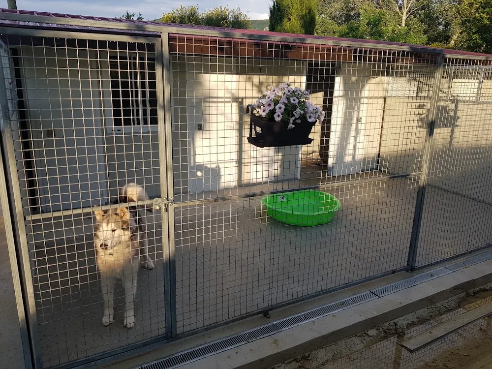 Gite canin La freydière - Drôme pet otel görseli 3