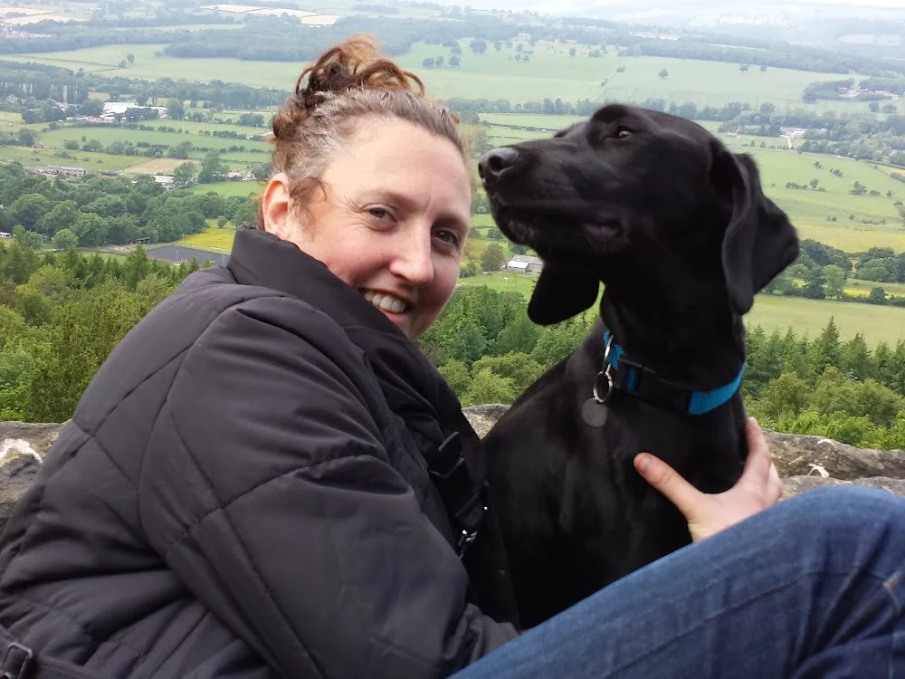 Hollybarn Dog Training Dublin Puppy Training Dublin, Behaviour and Home from Home Boarding Ireland - Dublin pet otel