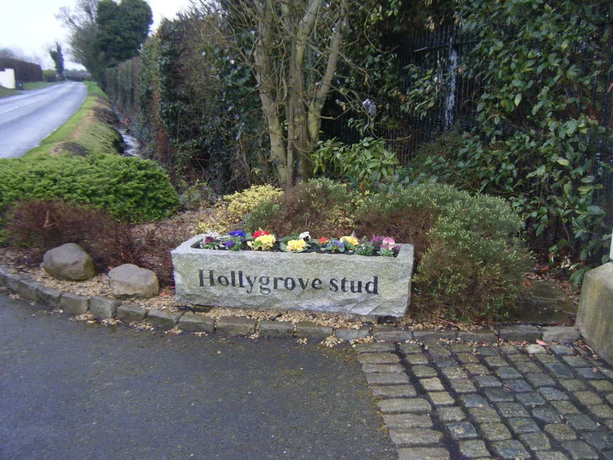Hollygrove Kennels Newcastle - Dublin pet otel