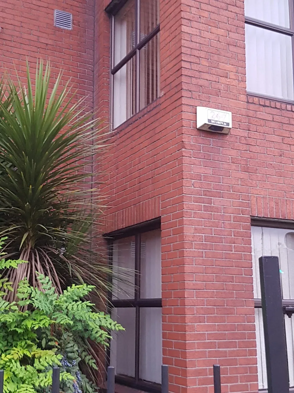 Irish Kennel Club - Dublin pet otel görseli 3