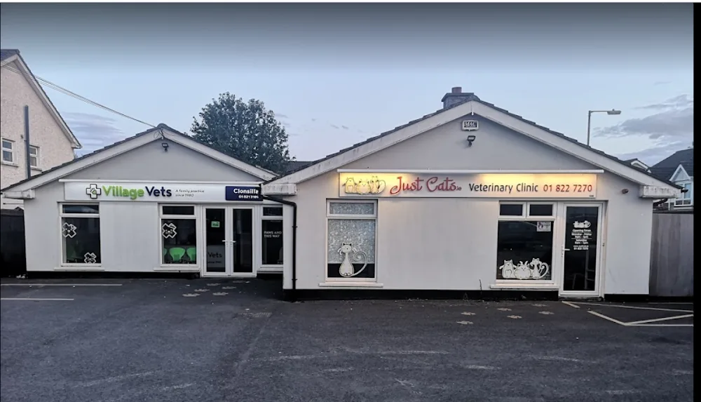 Just Cats @ Village Vets Clonsilla - Dublin pet otel