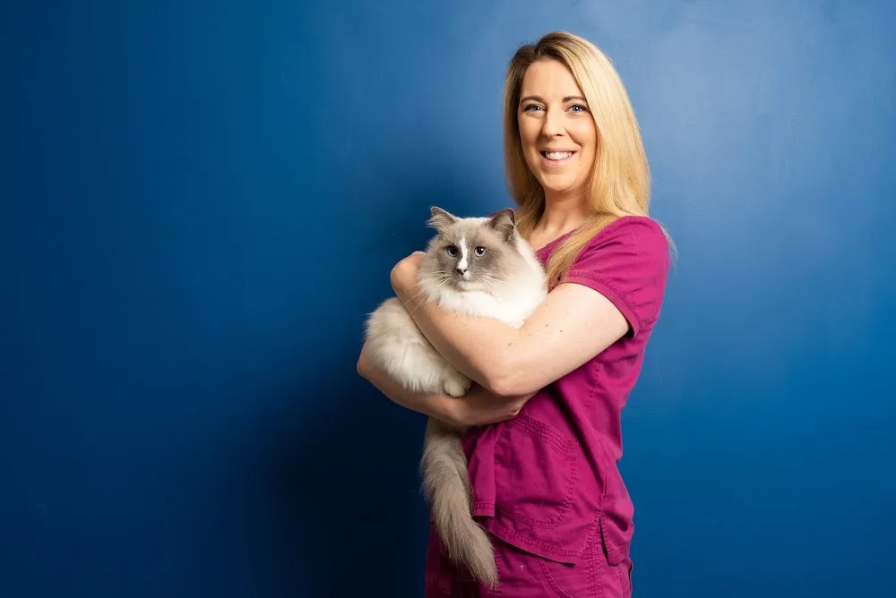Just Cats @ Village Vets Clonsilla - Dublin pet otel görseli 3