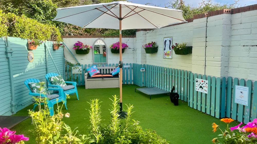 Woof Doggie Day Care - Dublin pet otel