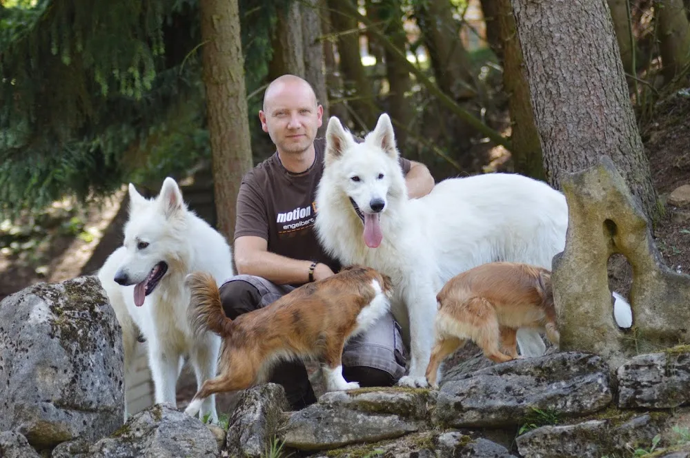 Winterfell - Pension und Hundeschule - Duderstadt pet otel