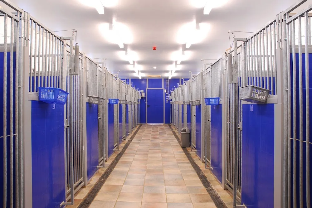 Long Meadow Pet Resort - Dudley pet otel görseli 3