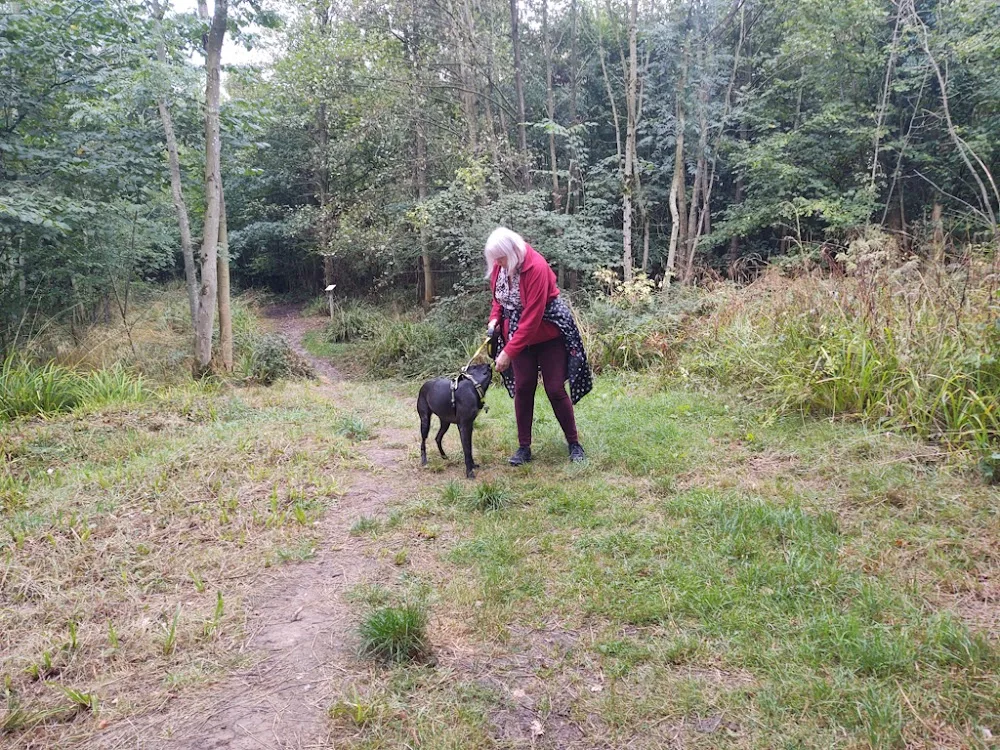 Muddy Paws Dog Boarding Ltd - Dudley pet otel görseli 3