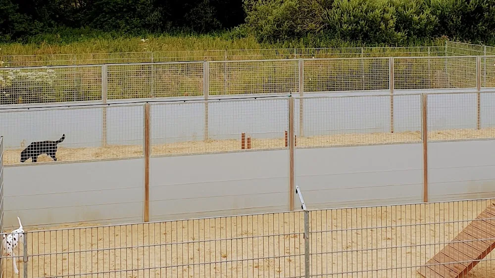 Dierenhotel Betuwse Weide Heteren - Duiven pet otel