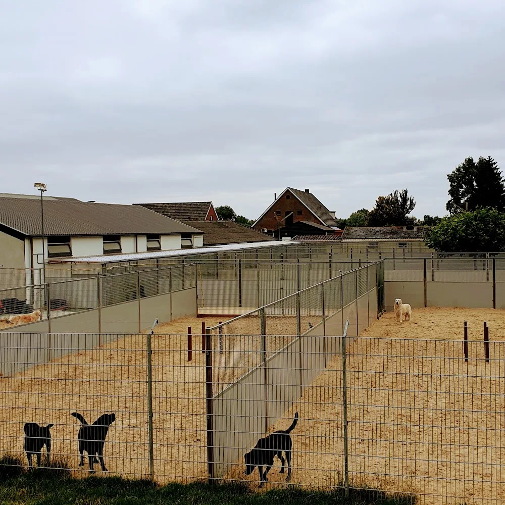 Dierenhotel Betuwse Weide Heteren - Duiven pet otel görseli 3
