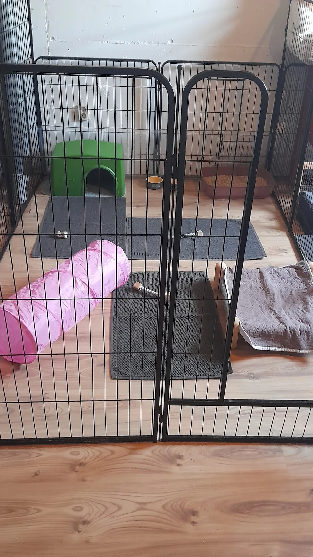 Konijnenpension Duiven - vakantieopvang konijnen & cavia's Gelderland konijnenopvang dierenpension - Duiven pet otel