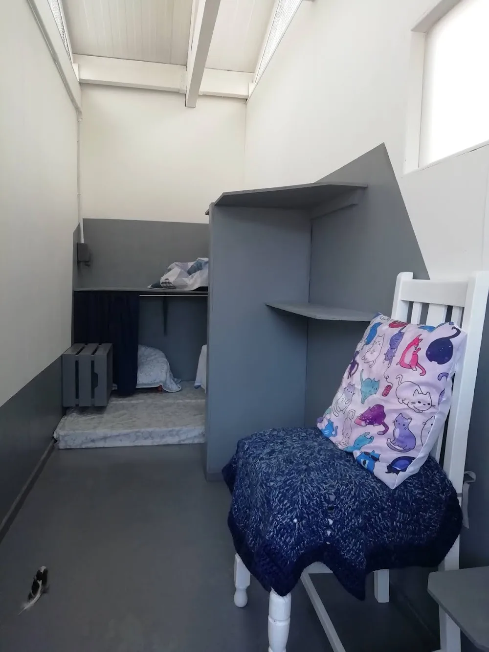 The Cottage Cattery - Dumfries and Galloway pet otel görseli 3