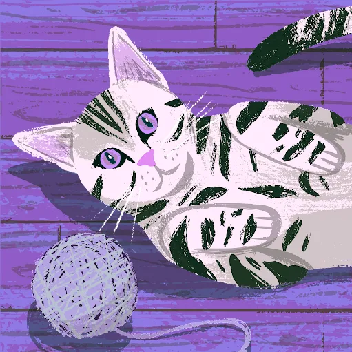 Claws & Paws - Dundee pet otel görseli 4