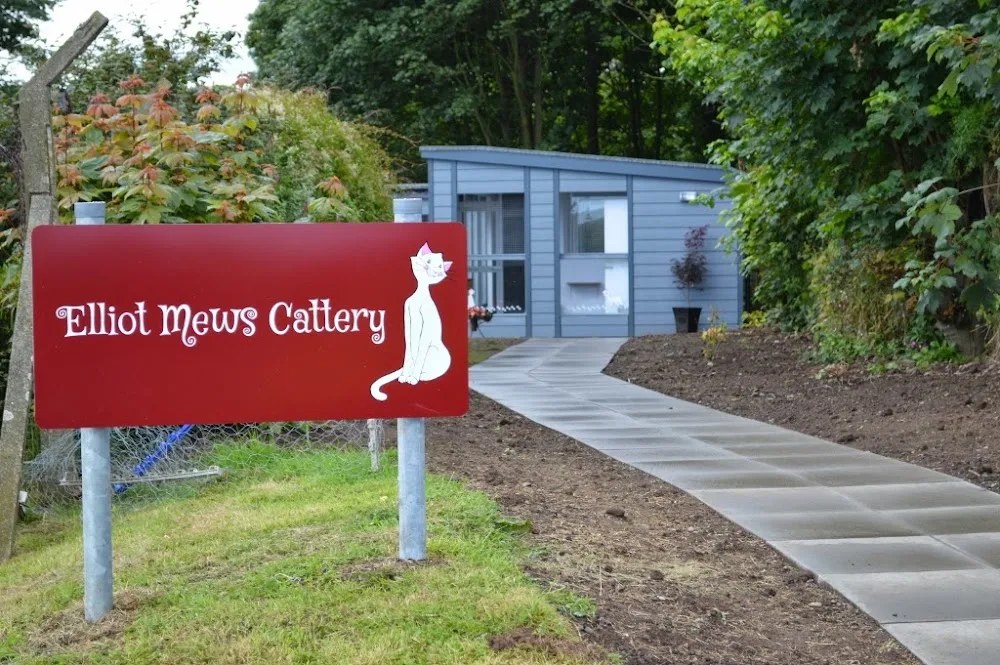 Elliot Mews Cattery - Dundee pet otel