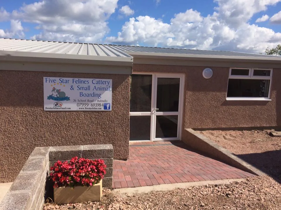 Five Star Felines - Dundee pet otel