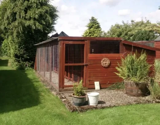 Longforgan Kennels & Cattery - Dundee pet otel görseli 3