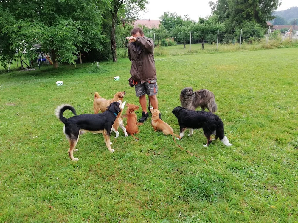 Hundegarten 4715 - Durban pet otel görseli 3