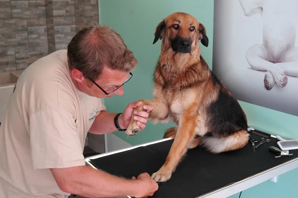 Hundehausen - Durban pet otel görseli 3