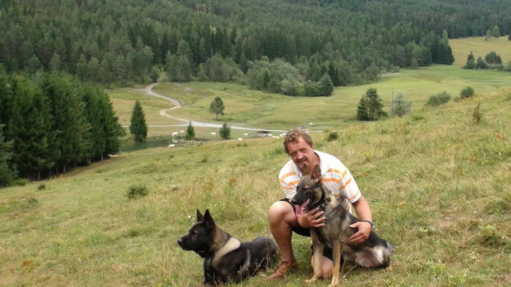 Hundepension Druml - Durban pet otel görseli 3