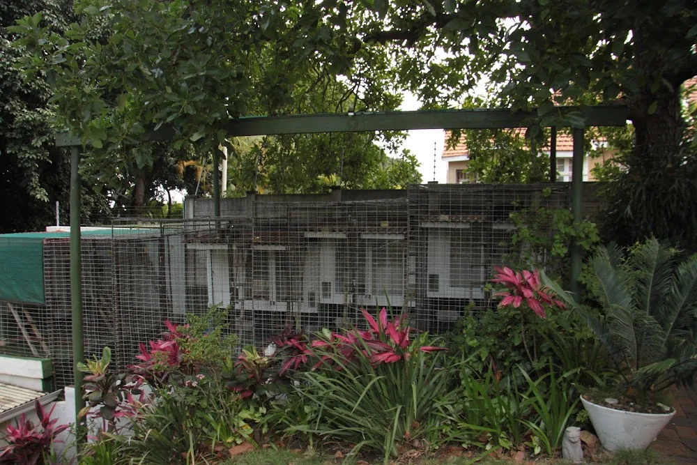 Purr-Fect Place Boarding Cattery - Durban pet otel görseli 2