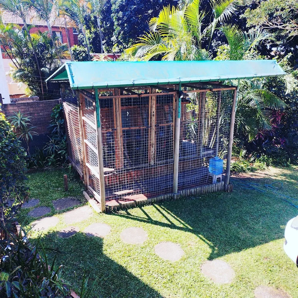 Purr-Fect Place Boarding Cattery - Durban pet otel görseli 3