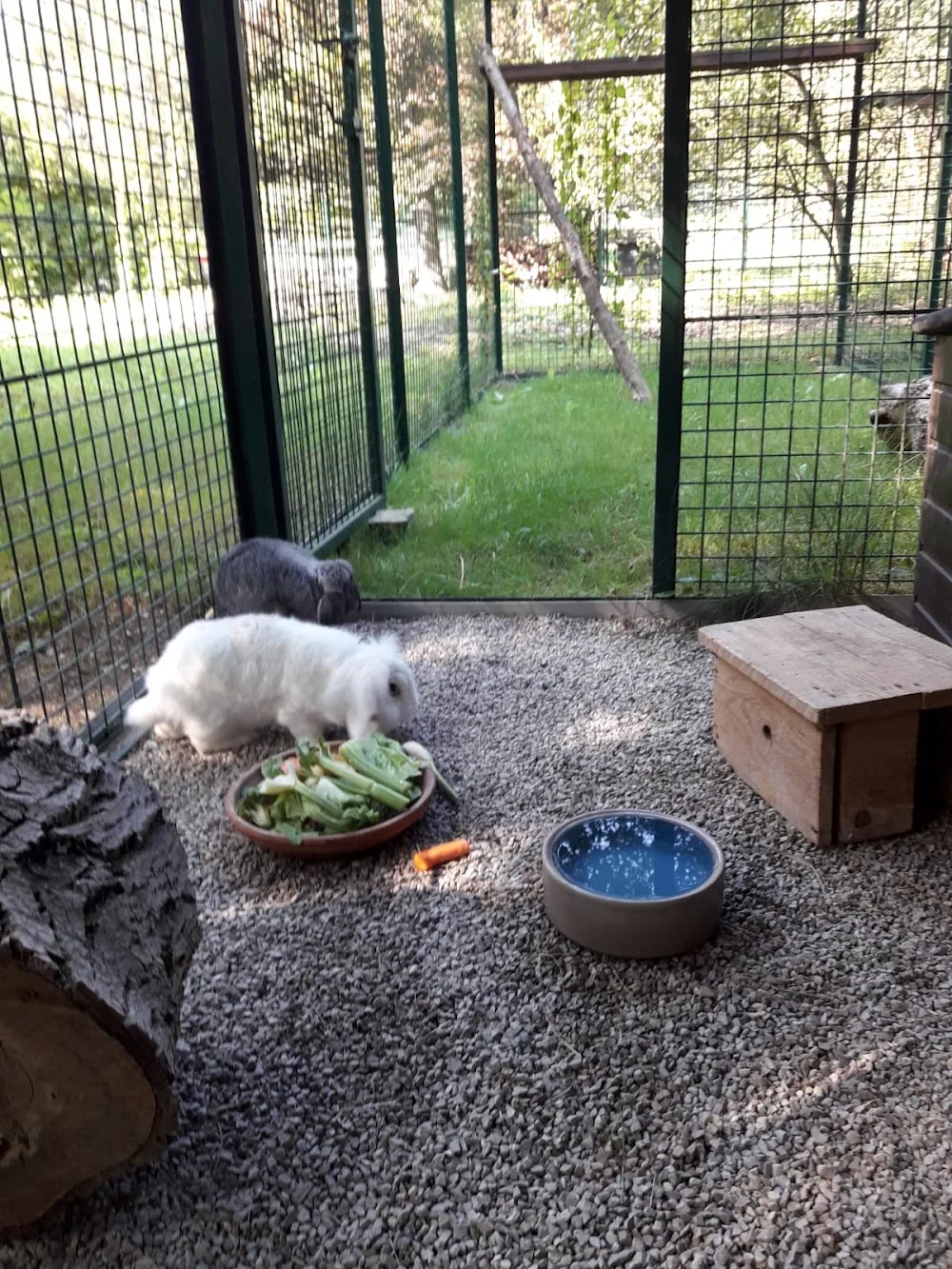 Tierarztpraxis & Tierpension Gaaden - Durban pet otel görseli 5