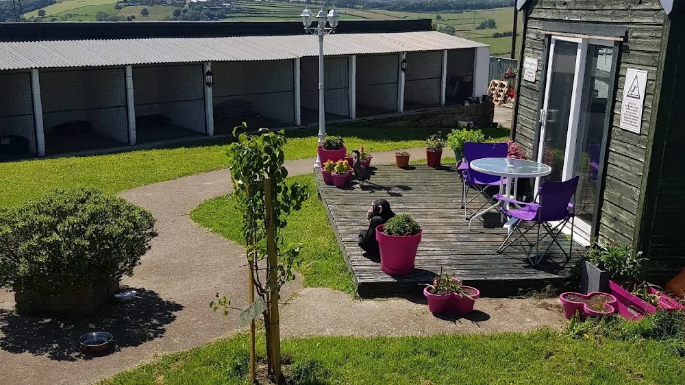 Tendercare Boarding Kennels and Cattery - Durham pet otel