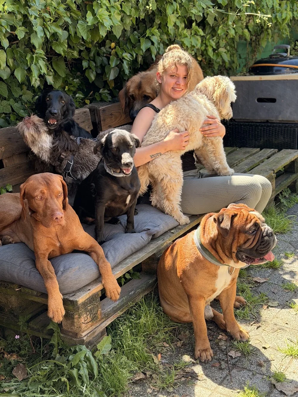 DogPack Düsseldorf Hundebetreuung - Dusseldorf pet otel