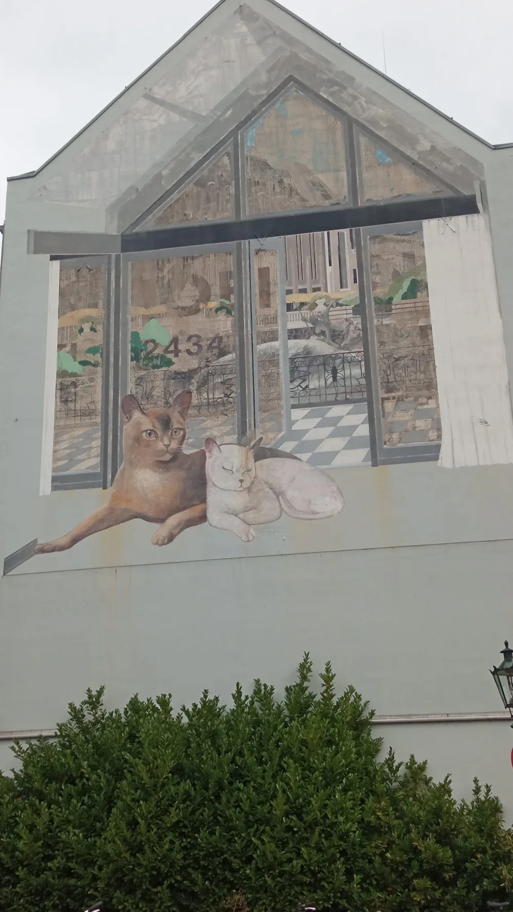Katzenhaus - Dusseldorf pet otel