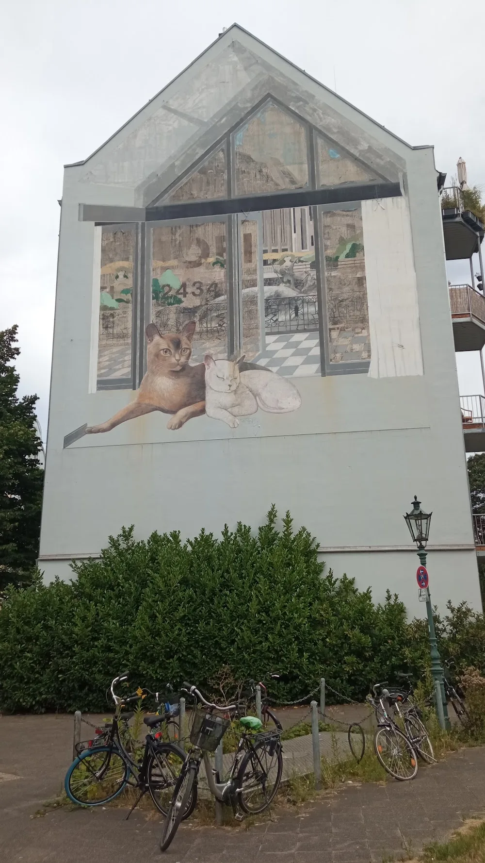 Katzenhaus - Dusseldorf pet otel görseli 3