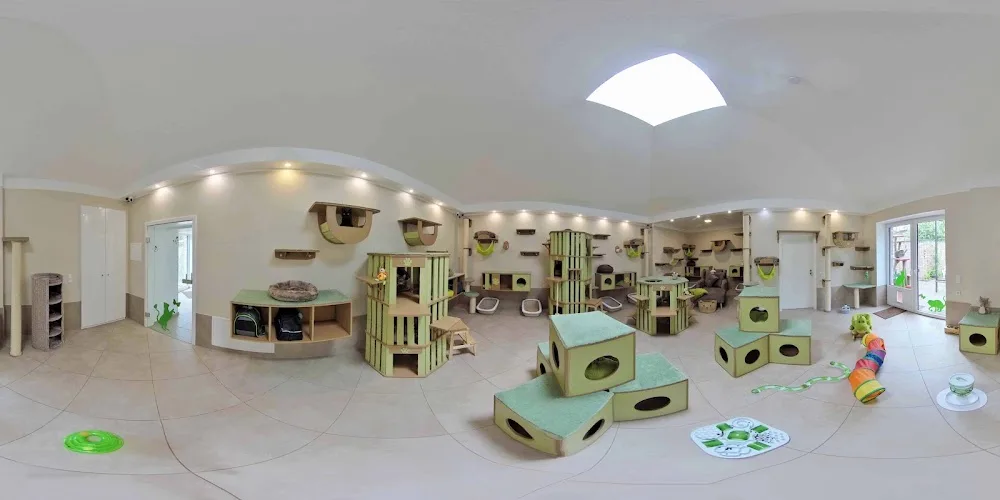 Katzenhotel Milu - Dusseldorf pet otel görseli 7