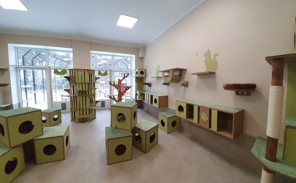 Katzenhotel Milu - Dusseldorf pet otel görseli 9