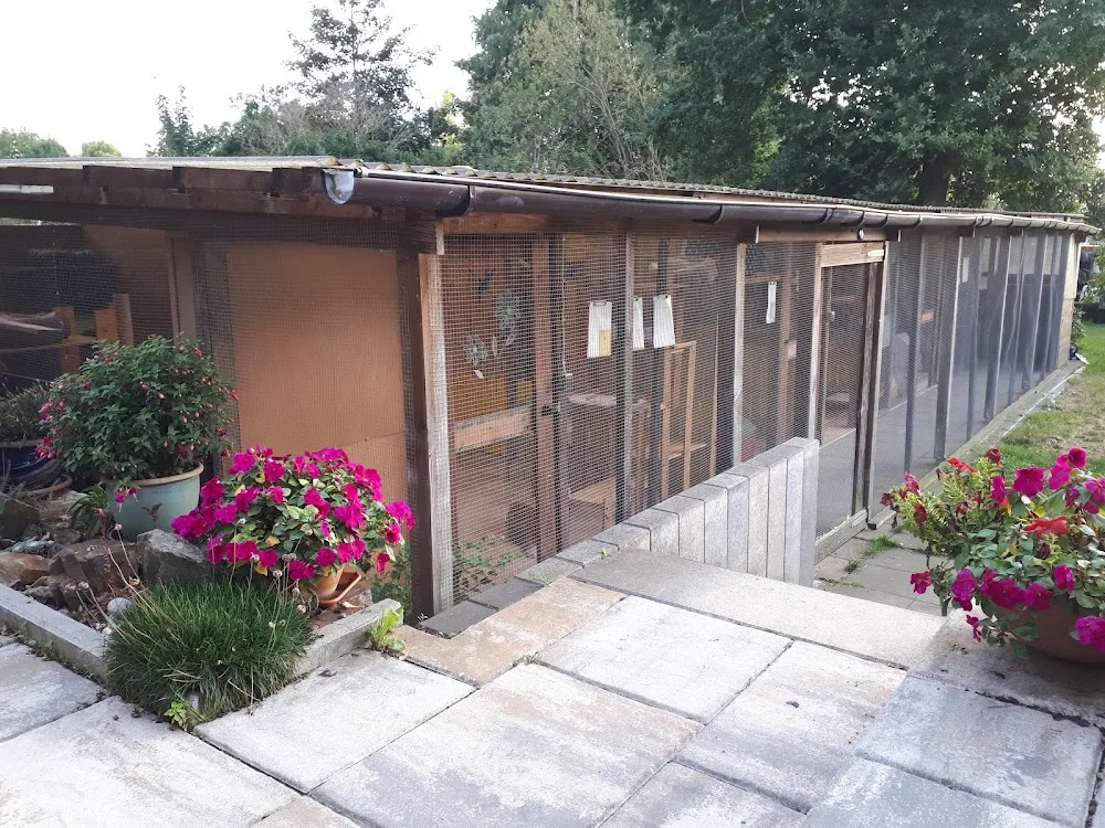 Katzenpension Katzen-Garten - Dusseldorf pet otel görseli 3